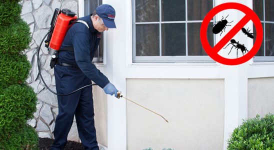 Bayraklı Sivrisinek İlaçlama böcek ilaçlama ve haşere kontrolü — ilaclama-tr.com
